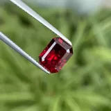 garnet 2