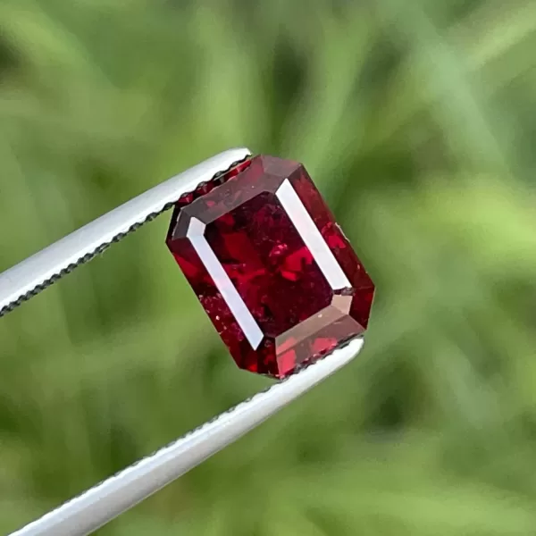 garnet 3