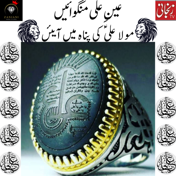 علی منگوائیں مولا علیؑ کی پناہ میں آیئں