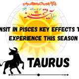 Sun Transit in Pisces Key Effects Taurus Will Experience This Season