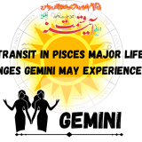Sun Transit in Pisces Major Life Changes Gemini May Experience