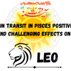 Sun Transit in Pisces Positive and Challenging Effects on Leo