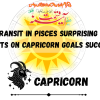 Sun Transit in Pisces Surprising Life Effects on Capricorn Goals Success