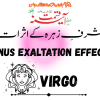 Venus Transit in Pisces Venus Exaltation Effects on Virgo